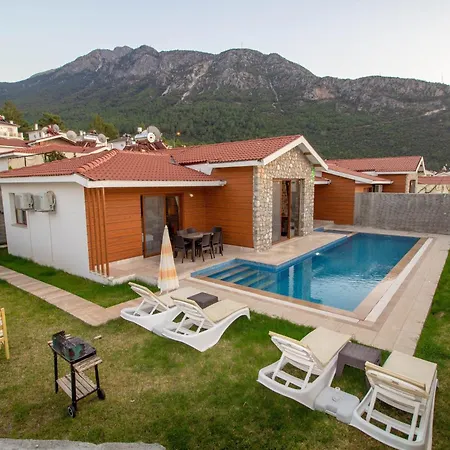 빌라 Tlos Yali 3+1 Villa, Oezel Havuzlu, 페티예